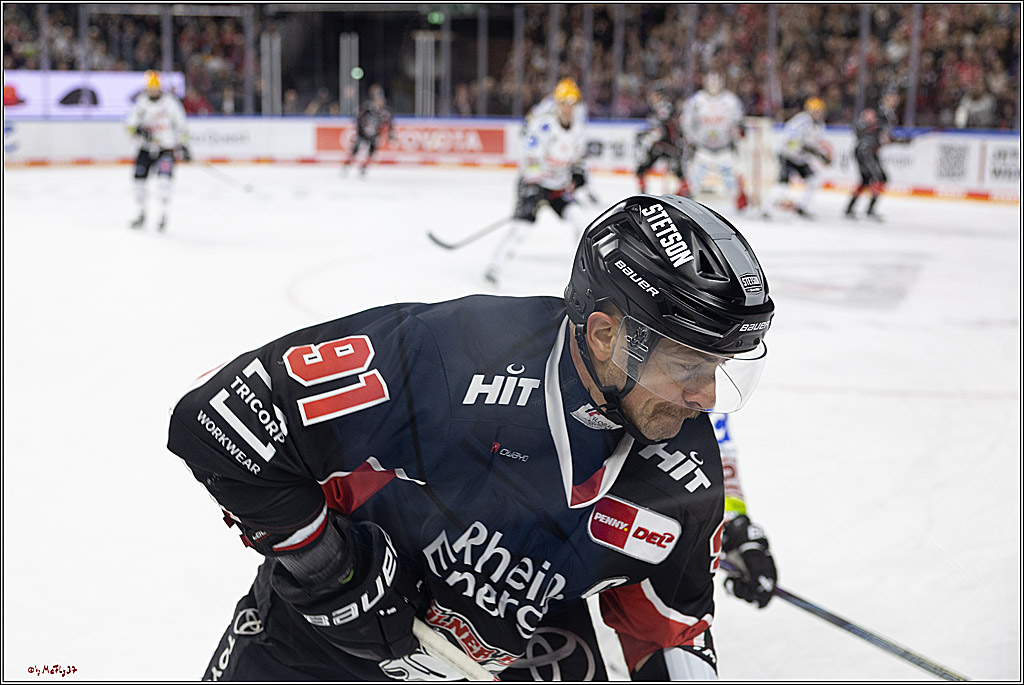 PENNY DEL 1; Kölner Haie - Fischtown Pinguins; Köln, 15.11.2024